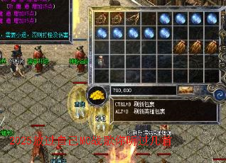 2025�Ź��Լ�MCս������������