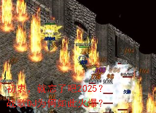 ���ԣ������˰�2025��ս��DJΪ����˻𱬣�