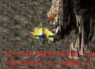 ���㽲����ѵ�����ȫ�Ǵ���DJս��Ҷ�й���ѩս��Electro��������