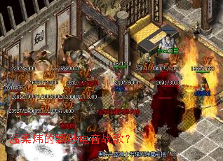 ����쿵�Ʈ�����ս�裿