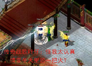 ����ս��Ҷ�У�����̫���棬���ﶬ�����һ�ѻ�