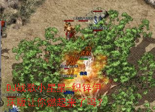 DJս��С����-֯п��ĭ������ȼ��������