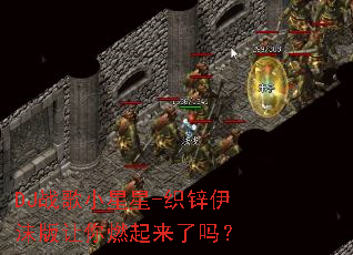 DJս��С����-֯п��ĭ������ȼ��������