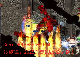 ConilNstroRsa-ml_Mix���ɣ�2025��ݸDJս��֮�գ�