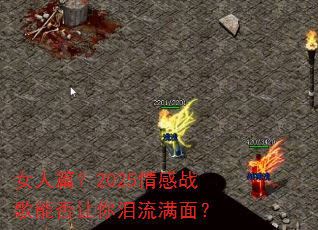 Ů��ƪ��2025���ս���ܷ������������棿