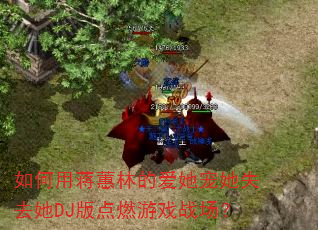 如何用蒋蕙林的爱她宠她失去她DJ版点燃游戏战场? 如何用蒋蕙林的爱她宠她失去她DJ版点燃游戏战场?