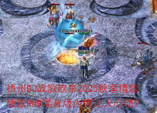 ����DJս��ŷ��2025�＾���ս��RNB������Ϊ�������Ķ���