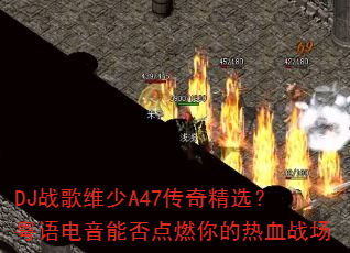 DJս��ά��A47���澫ѡ����������ܷ��ȼ�����Ѫս��