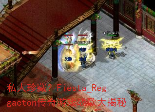 ˽����أ�Fiesta_Reggaeton������Ϸս������