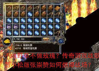 ����Ұ�ݲ���õ�壿������Ϸս�跶С�ɰ��ų������ȼ��ս����