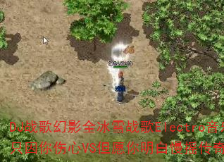DJ战歌幻影全冰雪战歌Electro音乐只因你伤心VS但愿你明白慢摇传奇游戏? DJ战歌幻影全冰雪战歌Electro音乐只因你伤心VS但愿你明白慢摇传奇游戏?