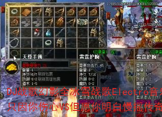 DJս���Ӱȫ��ѩս��Electro����ֻ��������VS��Ը��������ҡ������Ϸ��