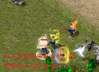 �㲻���ҵ����շ�����DJս��Banan��-���ڶ�