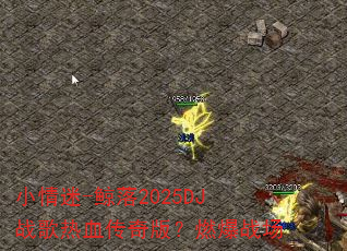 小情迷-鲸落2025DJ战歌热血传奇版?燃爆战场 小情迷-鲸落2025DJ战歌热血传奇版?燃爆战场