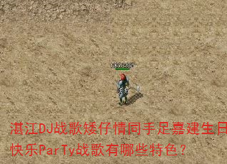 տ��DJս�谫����ͬ����ν����տ���ParTyս������Щ��ɫ��
