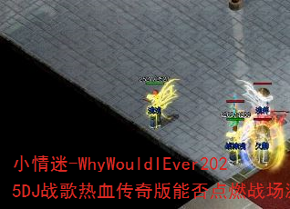 С����-WhyWouldIEver2025DJս����Ѫ������ܷ��ȼս�����飿