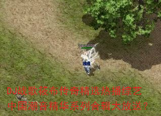 DJս���㲼���澫ѡ�Ȳ������й���������ϵ�кϼ�����ͣ�