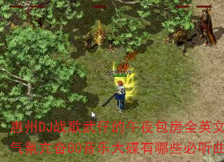 惠州DJ战歌武仔的午夜包房全英文时尚气氛亢奋80音乐大碟有哪些必听曲目? 惠州DJ战歌武仔的午夜包房全英文时尚气氛亢奋80音乐大碟有哪些必听曲目?