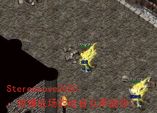 StereoLove2025:燃爆战场的电音女声旋律? StereoLove2025:燃爆战场的电音女声旋律?