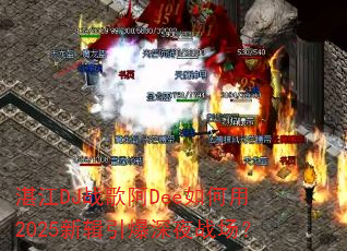 տ��DJս�谢Dee�����2025�¼�������ҹս����