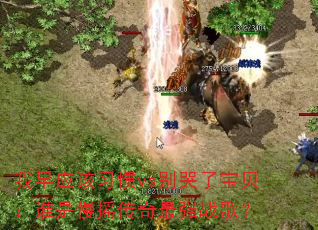 ����Ӧ��ϰ��vs����˱�����˭����ҡ������ǿս�裿