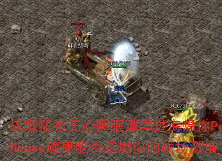 ս���㲼����˯��Ư���������ProgHouse�����ܷ��ȼ���ս�����飿