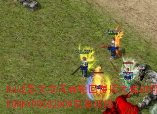 DJ战歌大宝青春轮回慢摇大碟如何引爆FUNKYPROG2009东莞现场? DJ战歌大宝青春轮回慢摇大碟如何引爆FUNKYPROG2009东莞现场?