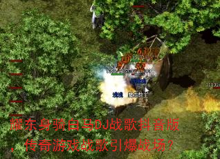 ҫ���������DJս�趶���棬������Ϸս������ս����