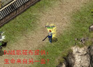 DJս���㲼�ṩ������������һ�棿
