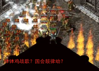 钵钵鸡战歌?国会鼓律动? 钵钵鸡战歌?国会鼓律动?