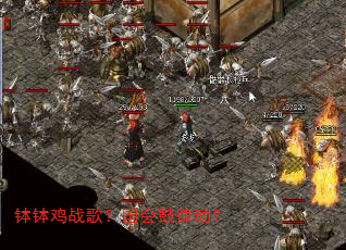 钵钵鸡战歌?国会鼓律动? 钵钵鸡战歌?国会鼓律动?