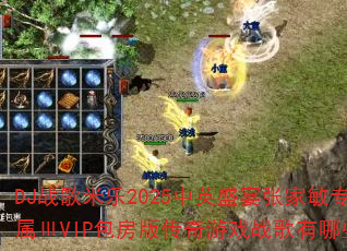 DJս������2025��Ӣʢ���ż���ר����VIP�����洫����Ϸս������Щ��