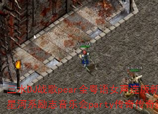 ��ˮDJս��pearȫ����Ů��������������ʵ�Ǻ�ϵ��־���ֻ�party���洫����Ϸս�裿