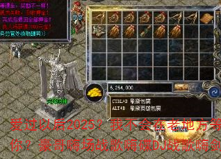 �����Ժ�2025���Ҳ������ϵط����㣿�����˳�ս���˵�DJս���˽�