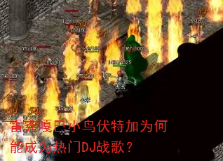 雷霆嘎巴小鸟伏特加为何能成为热门DJ战歌? 雷霆嘎巴小鸟伏特加为何能成为热门DJ战歌?