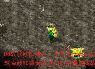 DJս��ŷ����ƽ��ȫӢ��House˽��Խ�Ϲ�MC����ս�����������Ϸս����