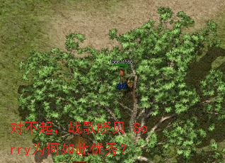 对不起,战歌晓贝-Sorry为何如此优秀? 对不起,战歌晓贝-Sorry为何如此优秀?