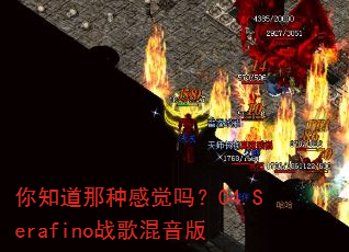 你知道那种感觉吗?04.Serafino战歌混音版 你知道那种感觉吗?04.Serafino战歌混音版