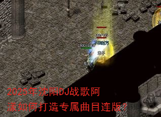 2025������DJս�谢����δ���ר����Ŀ���棿