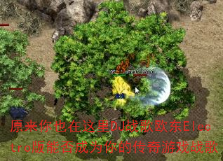 原来你也在这里DJ战歌欧东Electro版能否成为你的传奇游戏战歌 原来你也在这里DJ战歌欧东Electro版能否成为你的传奇游戏战歌