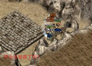 你会说我疯了吗? 你会说我疯了吗?