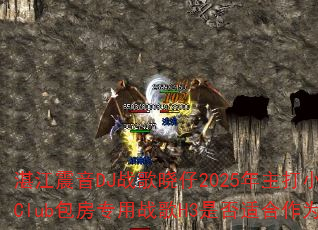 տ������DJս������2025������С��VS��ΰ�˸�Club����ר��ս��H3�Ƿ��ʺ���Ϊ������Ϸս�裿