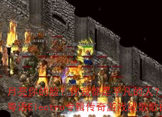 ��������������Ҷ���ƽ�����ˣ�DJս���㲼������Electroר��������Ϸս���������ս