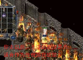 �����Ժ�����������Ƿ��ʺ���Ϊ������Ϸս�裿