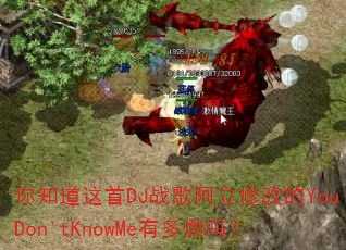 你知道这首DJ战歌阿立修改的YouDon'tKnowMe有多燃吗? 你知道这首DJ战歌阿立修改的YouDon'tKnowMe有多燃吗?