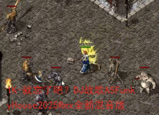 1K-就忘了吧?DJ战歌A5FunkyHouse2025Rmx全新混音版 1K-就忘了吧?DJ战歌A5FunkyHouse2025Rmx全新混音版