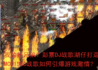 �ҵĺ��ֵܣ���կDJս����д���ӿ�ȫMCDISCOս�����������Ϸ���飿