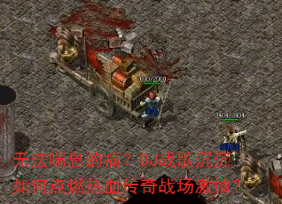 �޷���Ϣ��ʹ��DJս�������ε�ȼ��Ѫ����ս�����飿