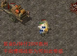 �Ͻ�DJ����2009����ƽ������ս��Ϊ����˴���