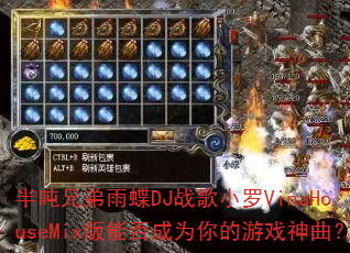 半吨兄弟雨蝶DJ战歌小罗VinaHouseMix版能否成为你的游戏神曲? 半吨兄弟雨蝶DJ战歌小罗VinaHouseMix版能否成为你的游戏神曲?